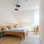 Lechowitz 3*